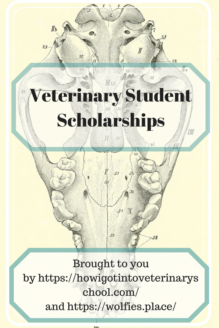 Veterinary student scholarships. We all know how expensive earning a DVM is, here are two scholarships to help offset some costs. #scholarship #vet #studentloans #vetschooltips #vetstudent #veterinarian