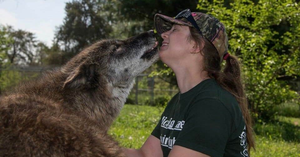 vet-school-requirements-can-look-a-little-different-for-each-person