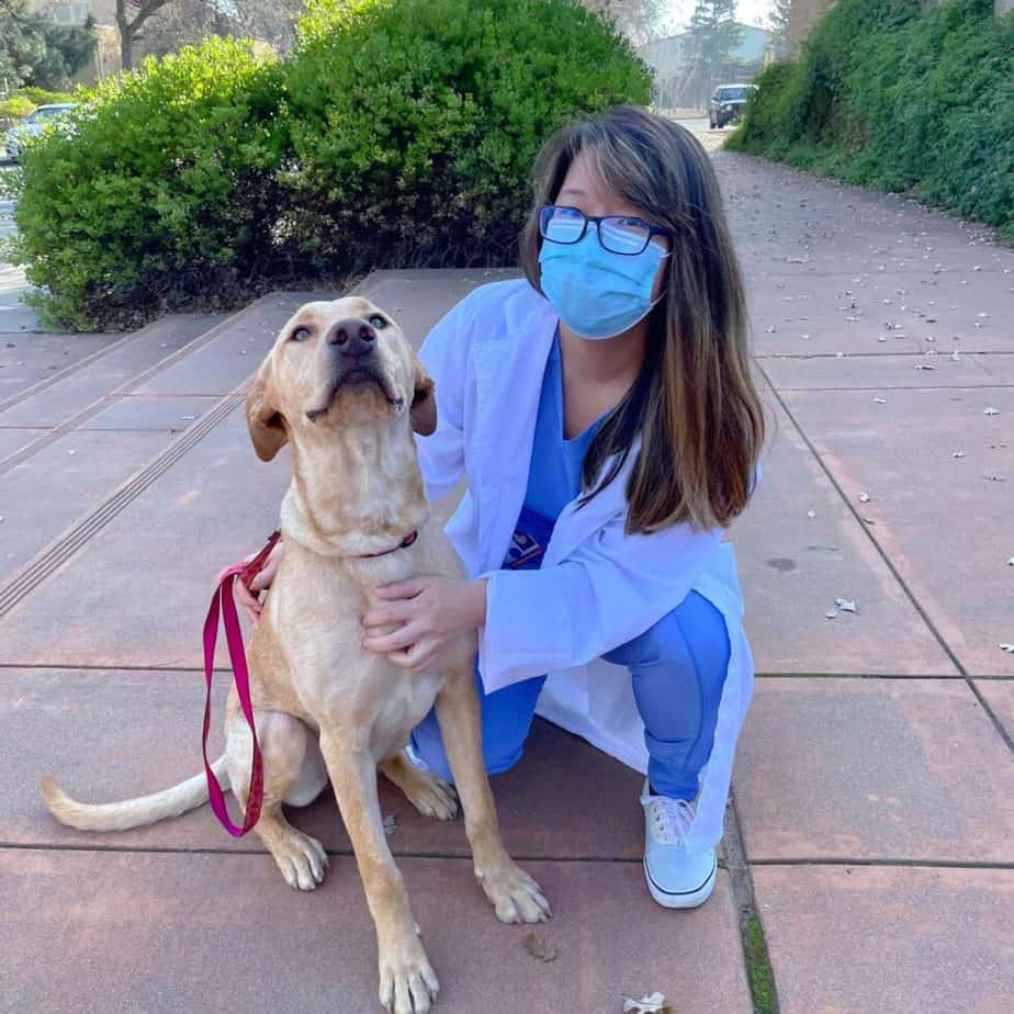 Getting Into UC Davis Vet School Interview With a 1st Year Student!