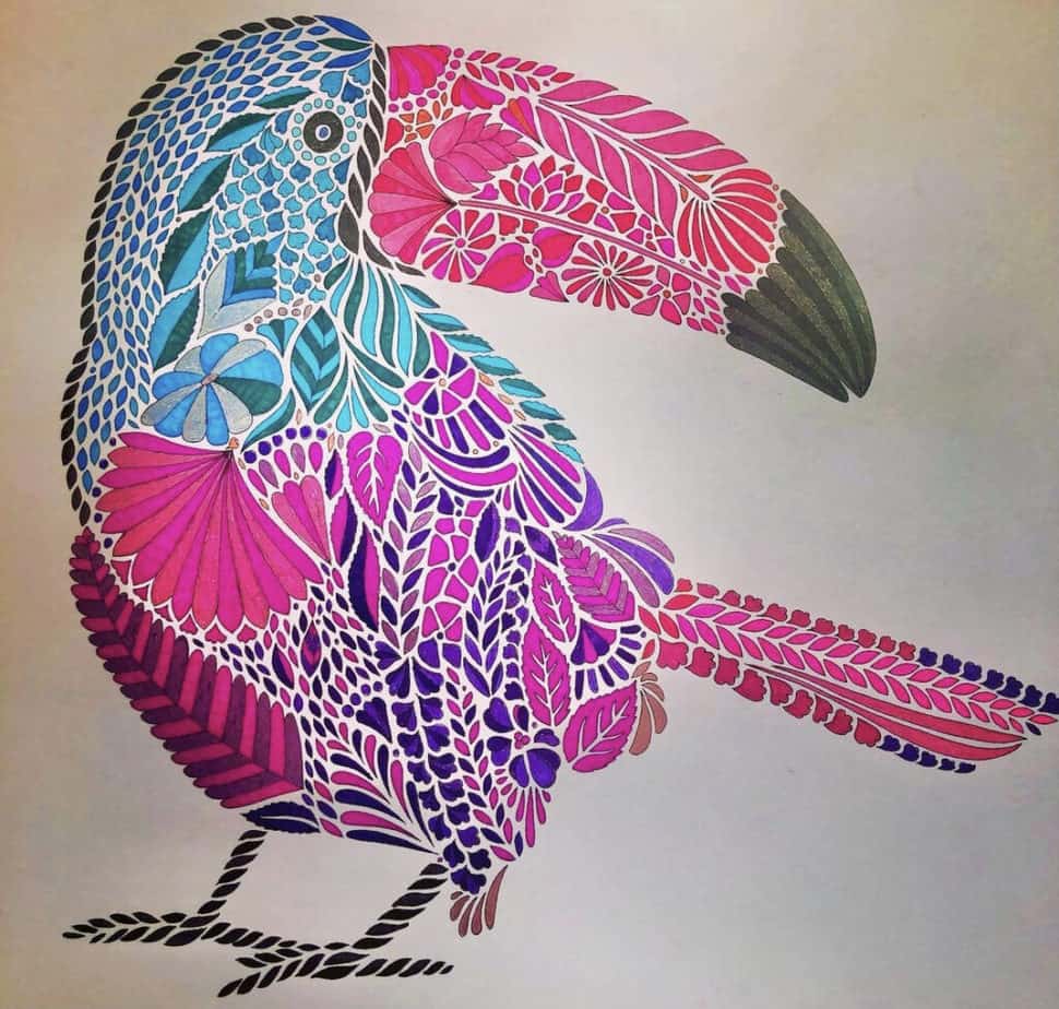 a bird from a best animals coloring book