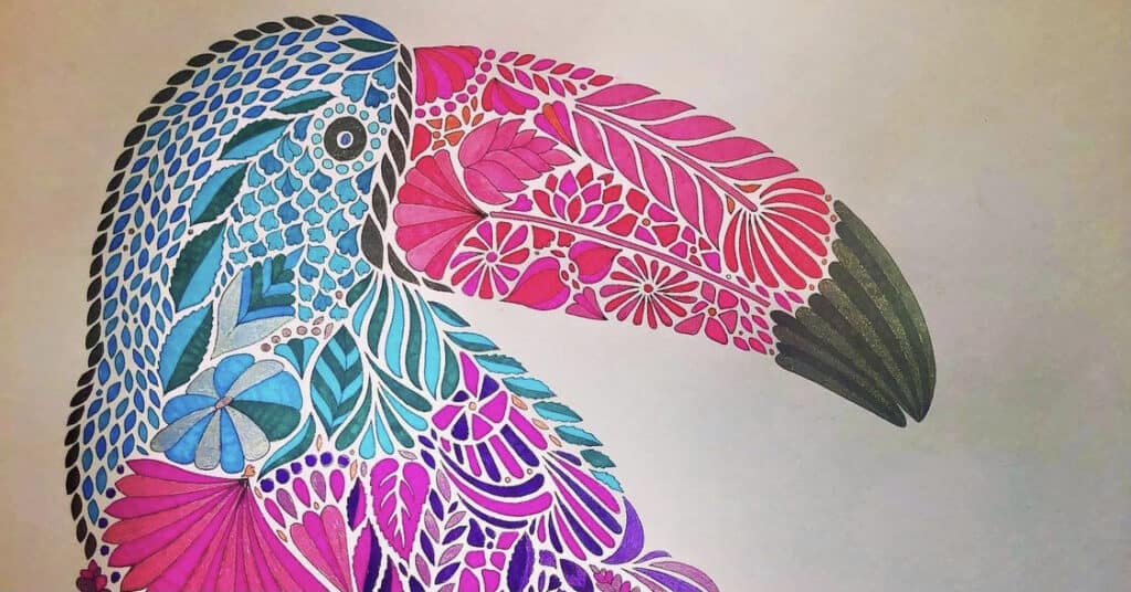 a tropical bird from a best animal coloring book