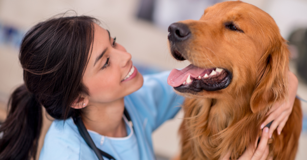 vet tech schools in California