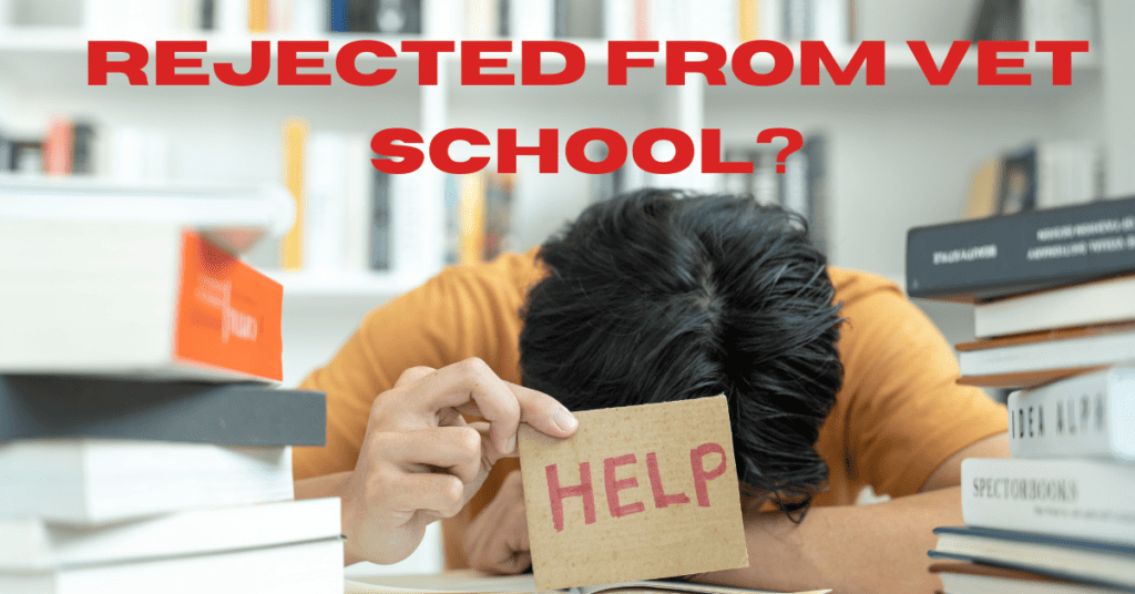 Rejected From Vet School